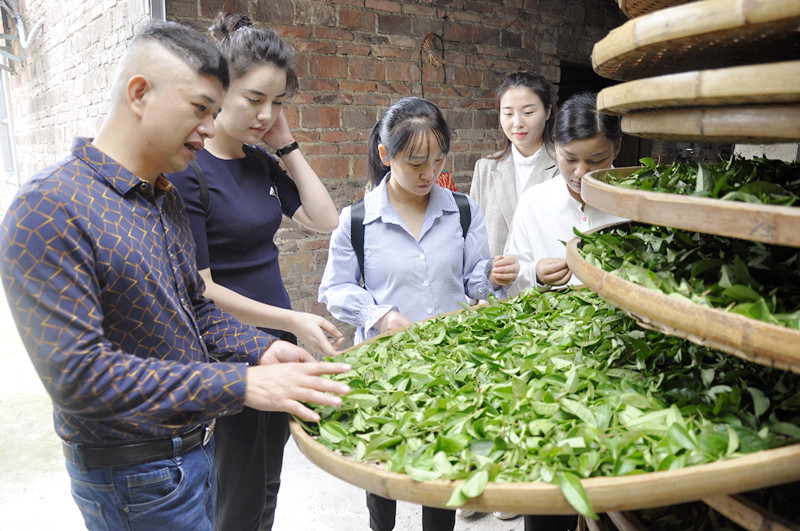 茶艺师培训+考证即将开班,快来报名吧!